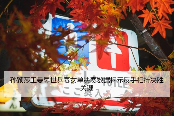 孙颖莎王曼昱世乒赛女单决赛数据揭示反手相持决胜关键